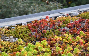 the cost of Pitchford green roof installation
