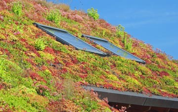 Pitchford living roof systems